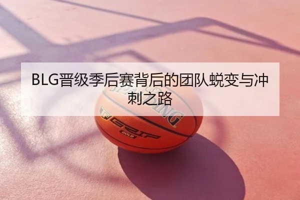 BLG晋级季后赛背后的团队蜕变与冲刺之路