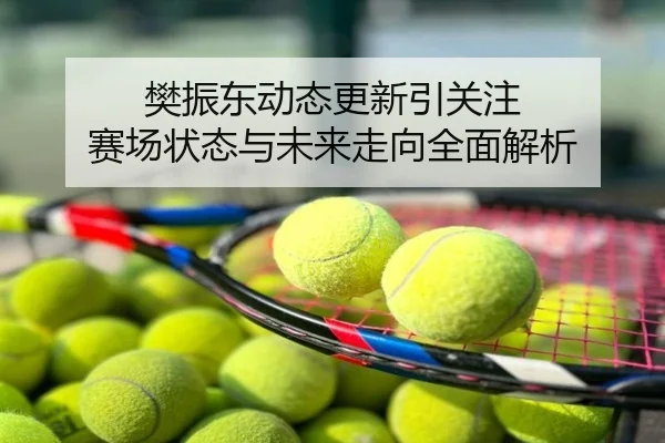 樊振东动态更新引关注 赛场状态与未来走向全面解析
