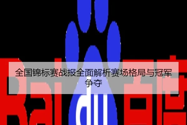 全国锦标赛战报全面解析赛场格局与冠军争夺