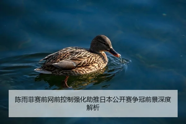 陈雨菲赛前网前控制强化助推日本公开赛争冠前景深度解析